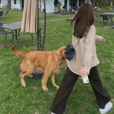 艾米丽在巴黎第二季